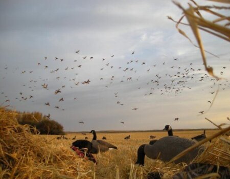 wta_1768__featured_N09YX3_Picture39