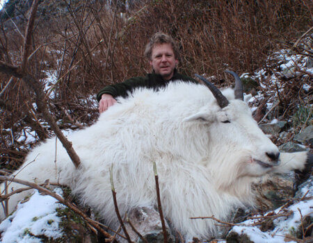 wta_1769_DZ8WEF_goat05a