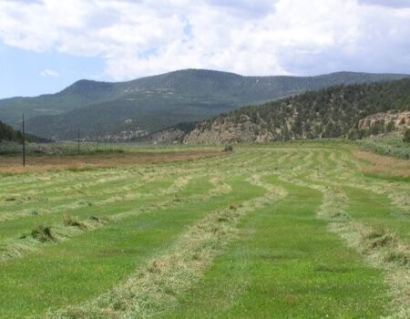 wta_1771_0MKGY1_scenery-21