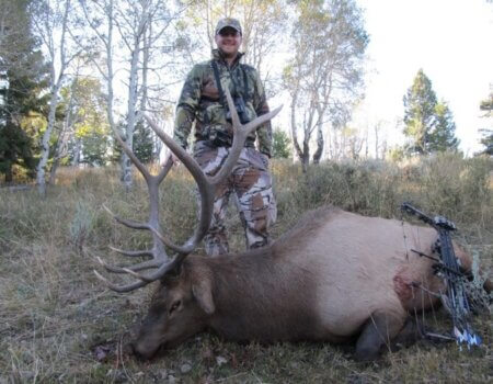 wta_1771_7GY7LG_elk-2015-04