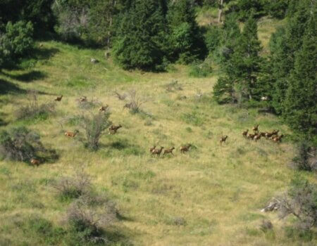 wta_1771_8DUUQF_scenery-05