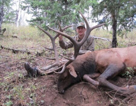 wta_1771_FSDUT1_elk-2015-03