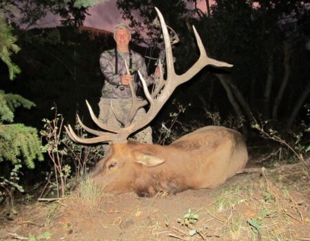 wta_1771_NZ05FP_elk-2017-3