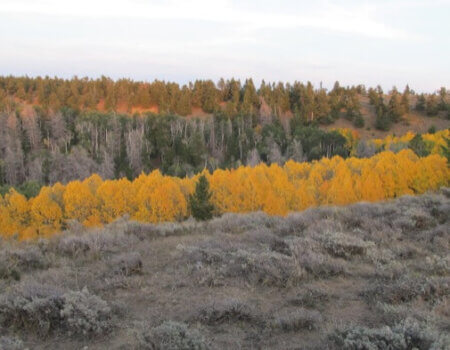 wta_1771_X7ADUP_scenery-10