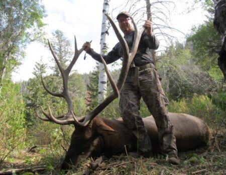 wta_1771_XS2CI1_elk-2017-2