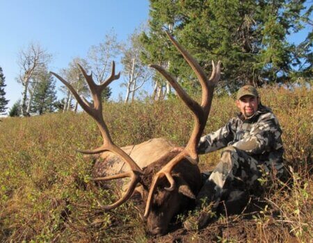 wta_1771__featured_CKNYGV_elk-2017-6