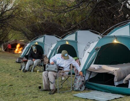 wta_1775_QJS1SX_unpluggedCamp