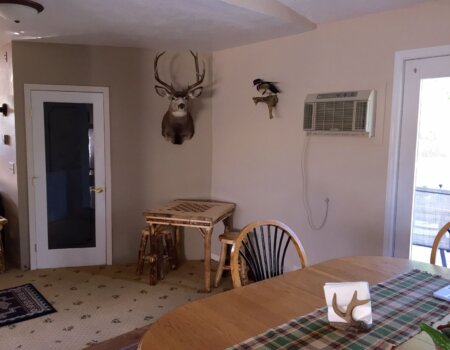 wta_1778_U4JYRZ_FullSizeRender