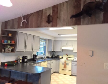 wta_1778_XBD0YG_FullSizeRender(2)