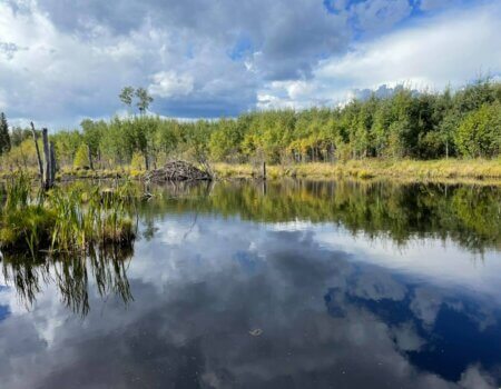 wta_1780_242102153_1277764079348180_4127271626191343364_n