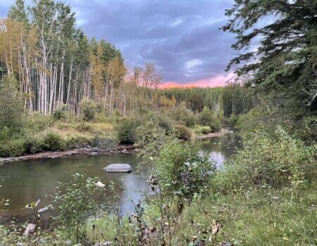 wta_1780_242157482_1277764136014841_7164273556419308946_n