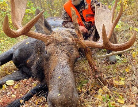 wta_1780_243860876_1287559015035353_7420723308330431516_n