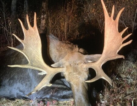 wta_1780_244965578_1292222441235677_5295320618799651509_n