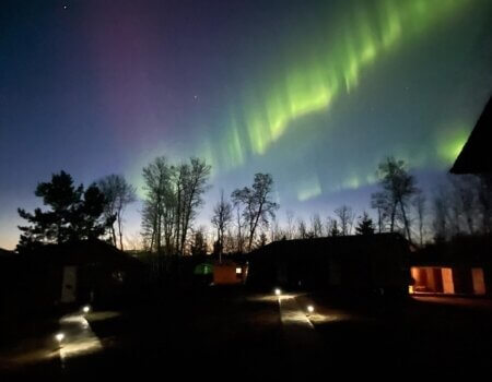 wta_1780_279596622_1426259947831925_9135349869210065154_n