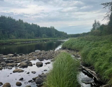 wta_1780_306839747_475478621259948_4947702067263341046_n