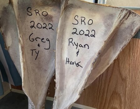 wta_1780_309225636_484845520323258_7081070860294776995_n