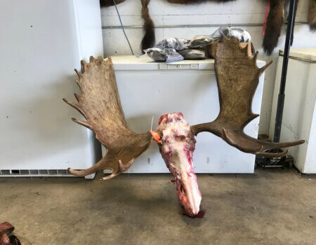 wta_1780_File_000(3)