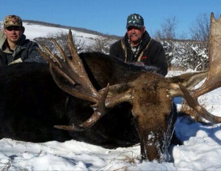 wta_1788_ALMJGM_2017bull