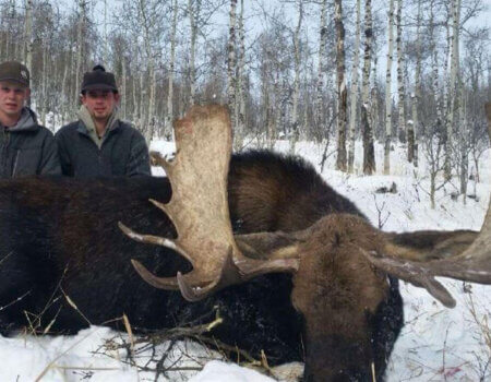 wta_1788_BJ8A86_moose