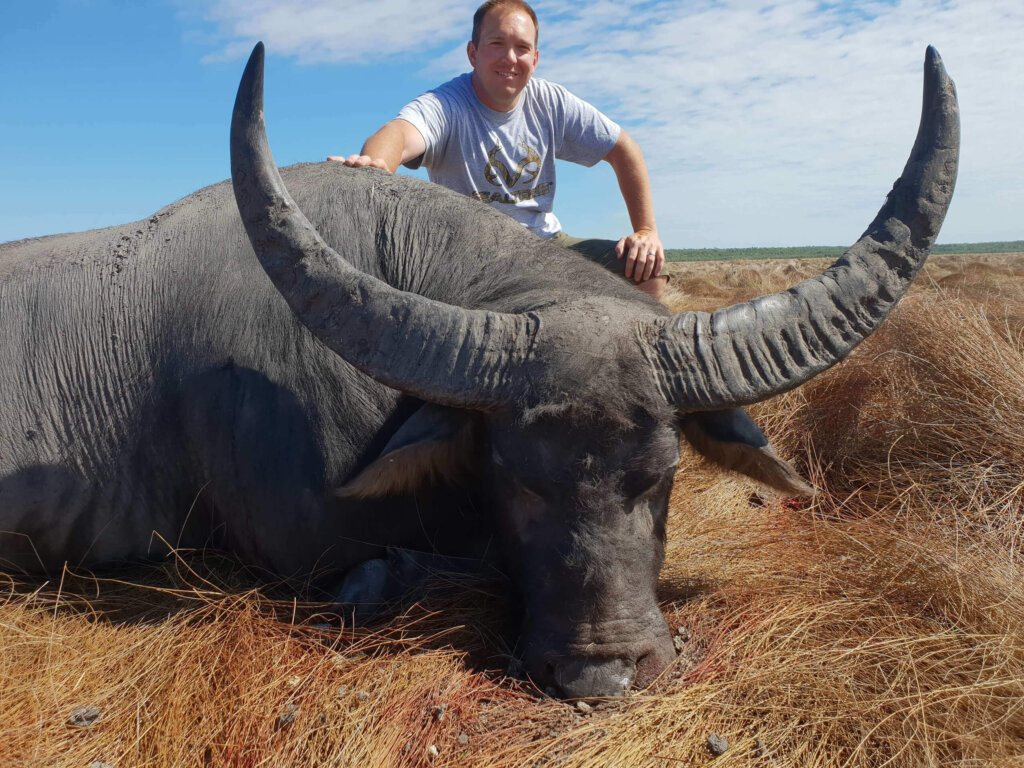 Buffalo Water Buffalo Banteng Australia