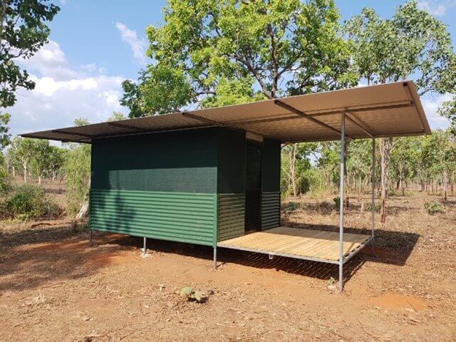 Buffalo Water Buffalo Banteng Australia