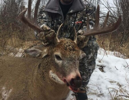 wta_1791_WUQPP9_IMG_4242