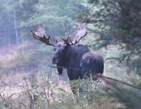 wta_2374_Screenshot_20220426-073901_YouTube