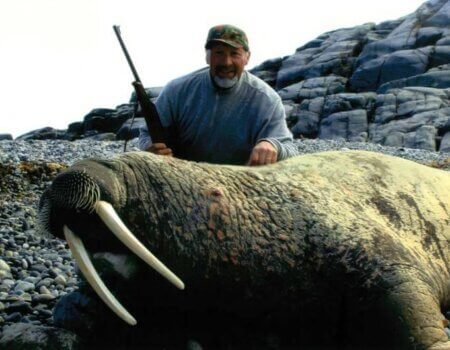 wta_275_8C14W0_062_Walrus-3