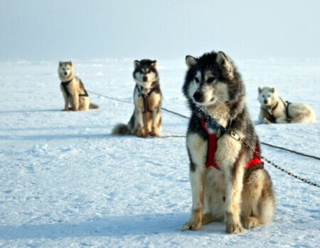 wta_275_PRULHJ_PBear_062(27)