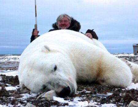 wta_275_W7HYQA_PBear_062(1)