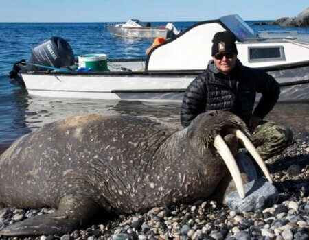 wta_275_X6KQNO_062_Walrus-12