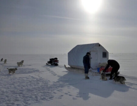 wta_302_1W1DGI_PBear_062(23)