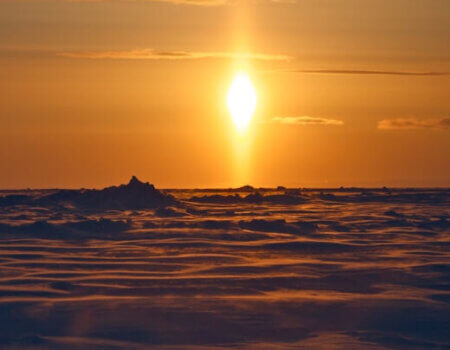 wta_302_72L7S0_PBear_062(43)