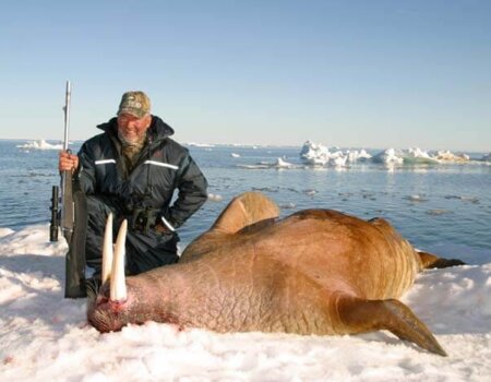 wta_302_A0IVQ6_062_Arctic-7