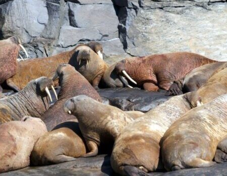 wta_302_PT0TVT_IMG_7179