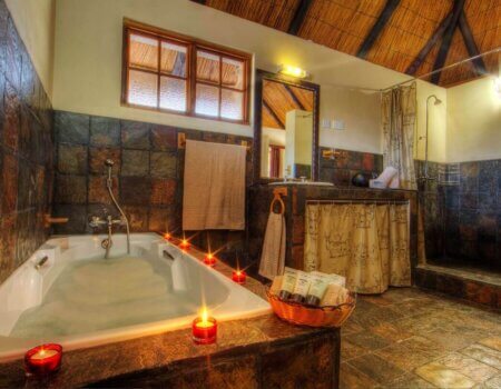 wta_344_HippoBath-Tholo-9732@25