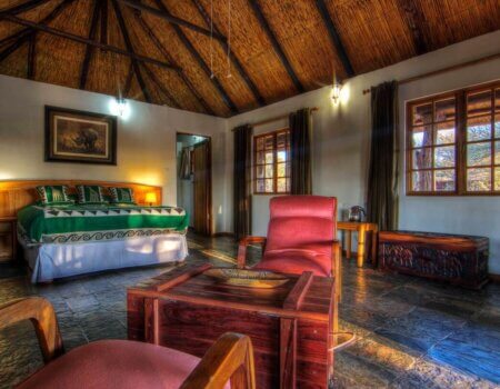 wta_344_RhinoRoom-Tholo-975@25