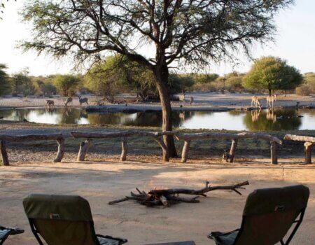 wta_344_WaterholeFire-Tholo-9800