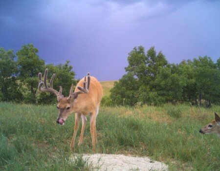 wta_365_9O2B57_I__01317