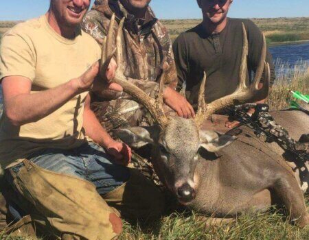 wta_365_CWV96A_IMG_1544