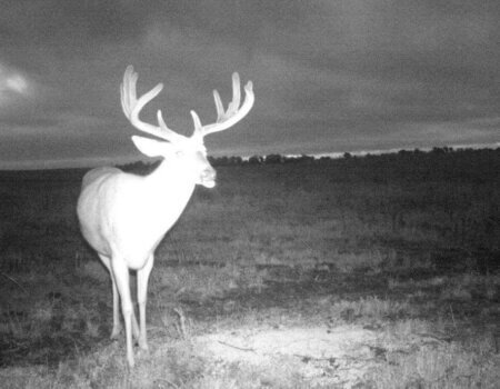 wta_365_NT51EM_I__00646