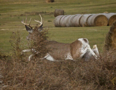 wta_365_OIDJBV_161_16