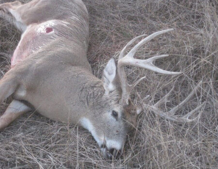 wta_365_OOSVBY_161_wt2