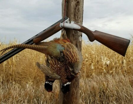 wta_365_QJJJYB_IMG_0014