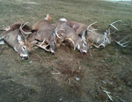 wta_365_S9XWLT_161_13