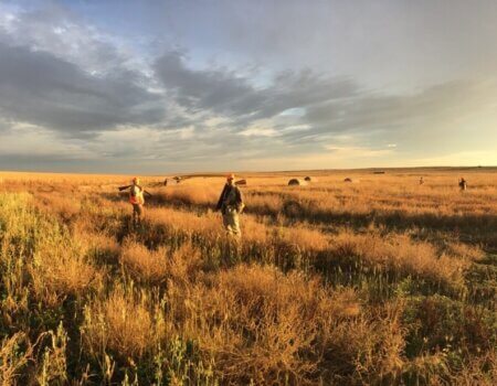 wta_365_SNMC0G_IMG_0017