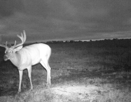 wta_365_TKAMAP_I__00645