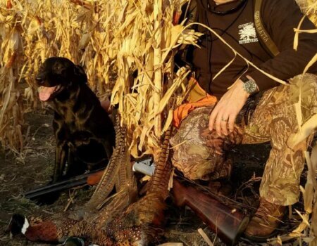 wta_365_UP2ESK_IMG_0003