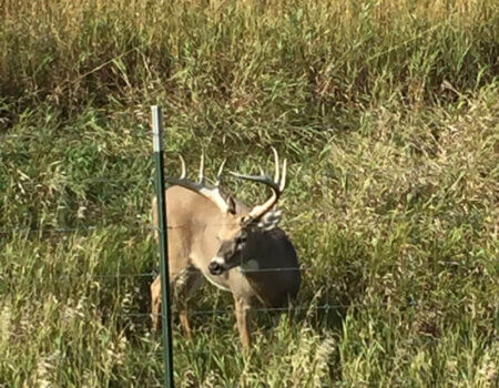 wta_365_X5SPIV_161_17