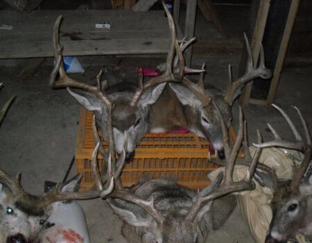 wta_365_ZOTN75_161_10